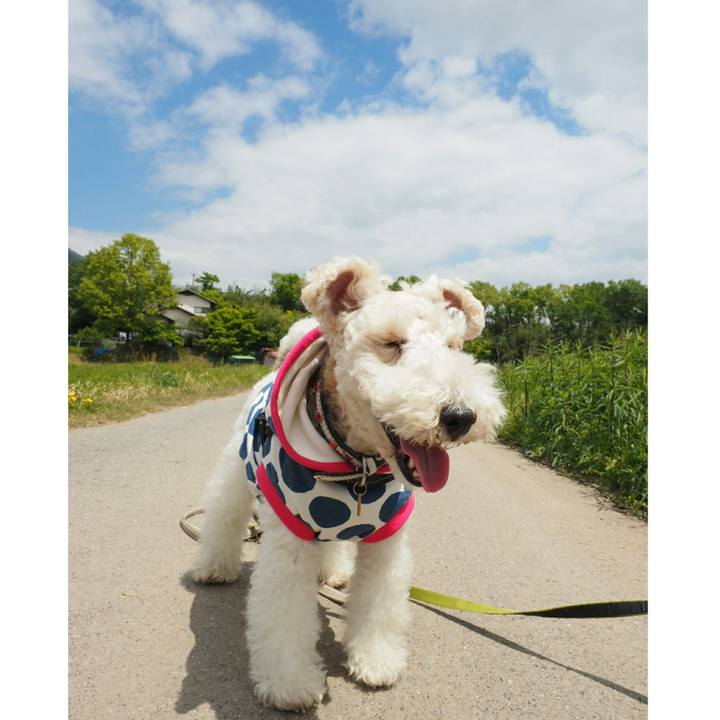 5b008df6 cac6 467b 9728 aeb1c7d8f079