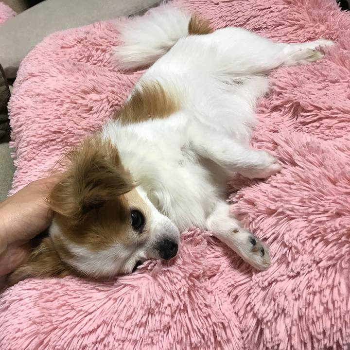 5b009379 e5da 4901 be03 757e592d9a72