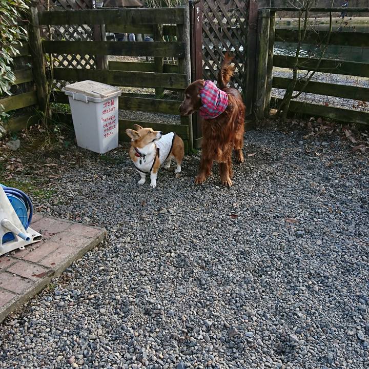 5b00f22e 97cf 44ac 8d1c ea8864f789f6