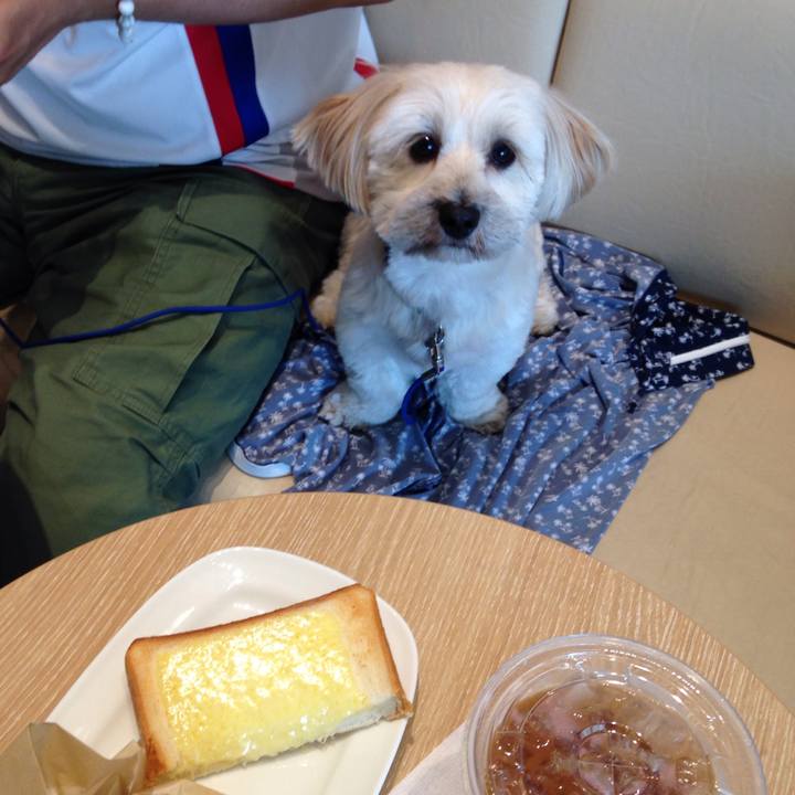 5b022c49 6515 4b2b 8ab9 3d1302930e05