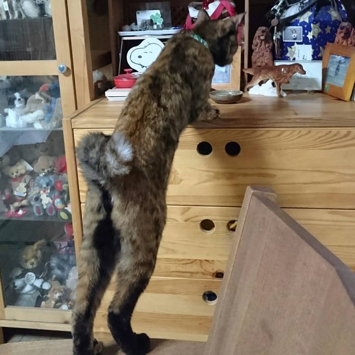 5b025a25 cbcb 48d2 9eb3 d0d668bb9399