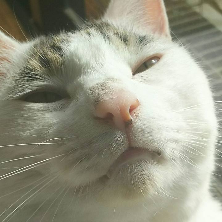 5b0263d4 e344 446a 9474 0a3340d5f2e3