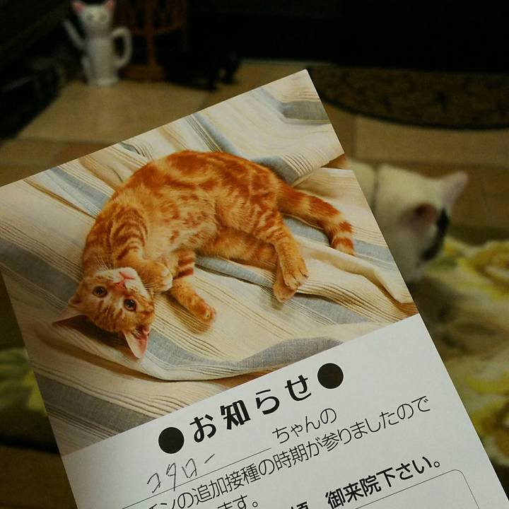 5b02965e 73f6 4dbd 9063 82de1a238a7f