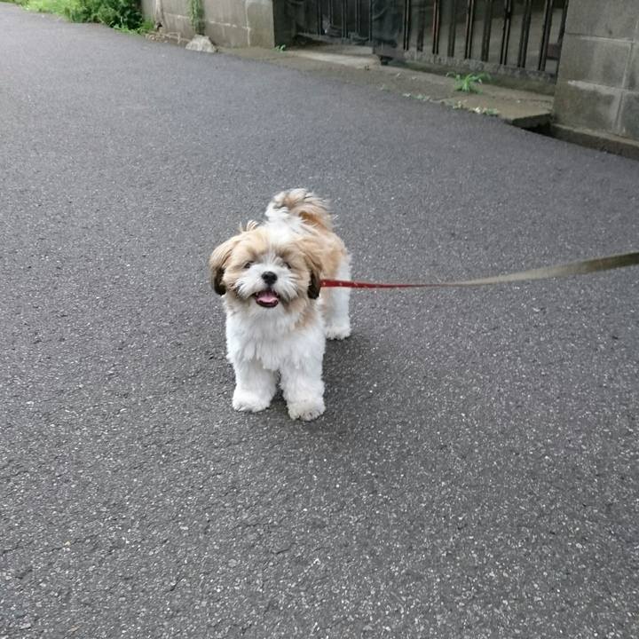 5b02c6ad 8cbb 4816 80c0 69b1f28fef02