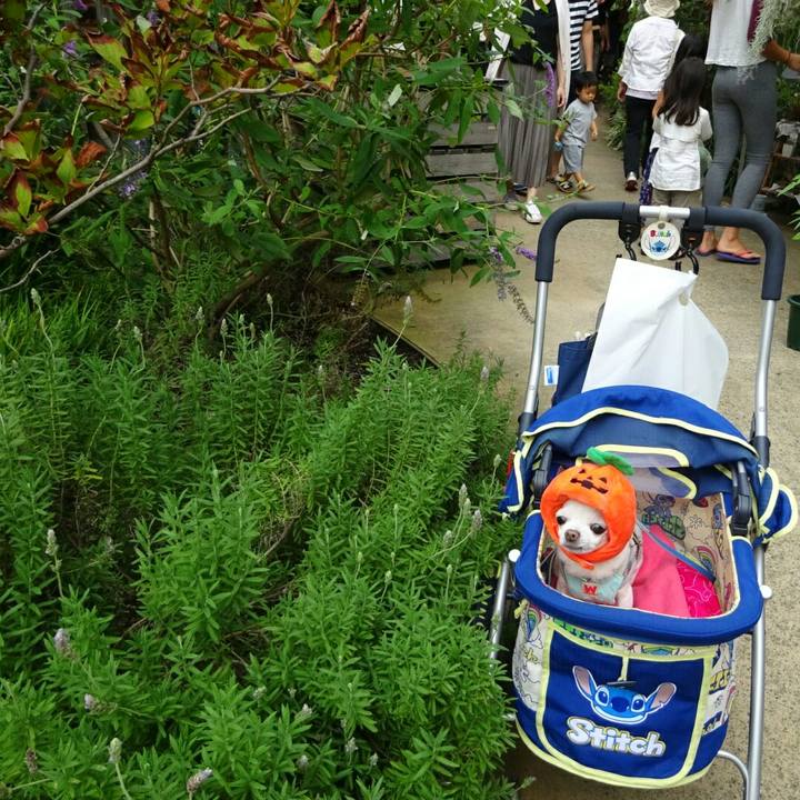 5b02e213 b13d 4230 b429 31e99bac152f