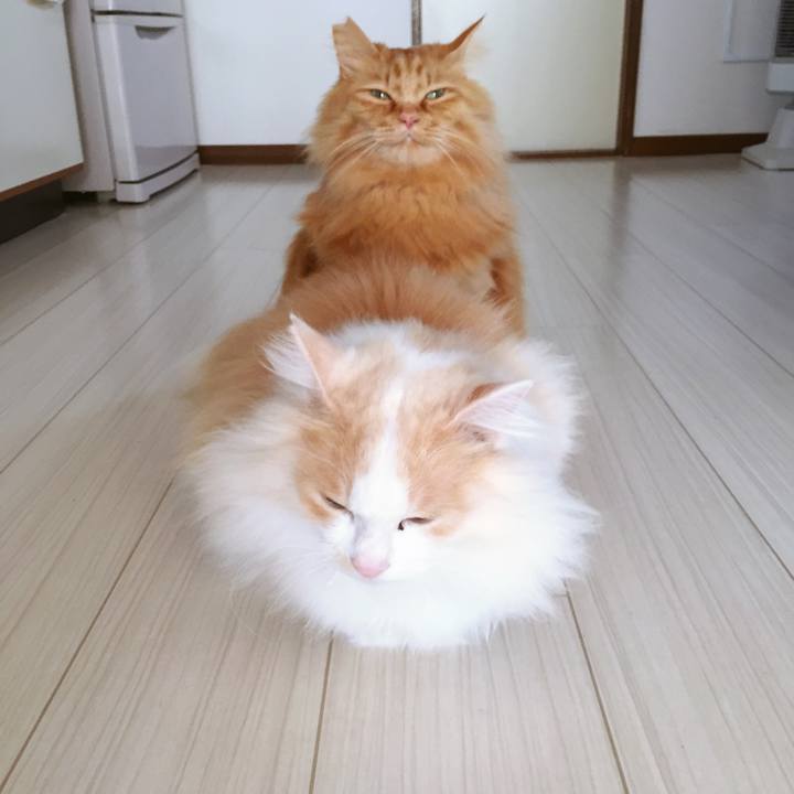 5b032e59 dd13 4604 9006 b29da976520e