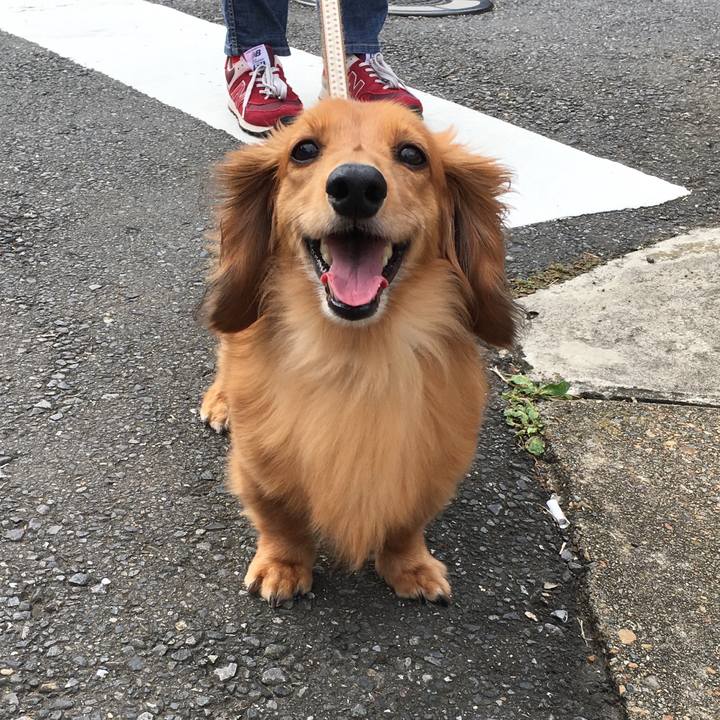 5b03548f c5e1 4b05 8183 2625956e4ac1