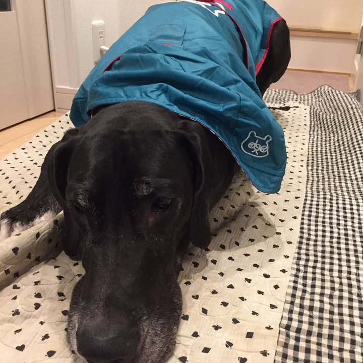 5b03b94d 7c70 4b46 9644 f566cc59f9c5