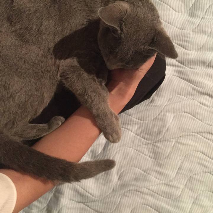 5b044305 77d0 41f4 a653 ffd80239b54e