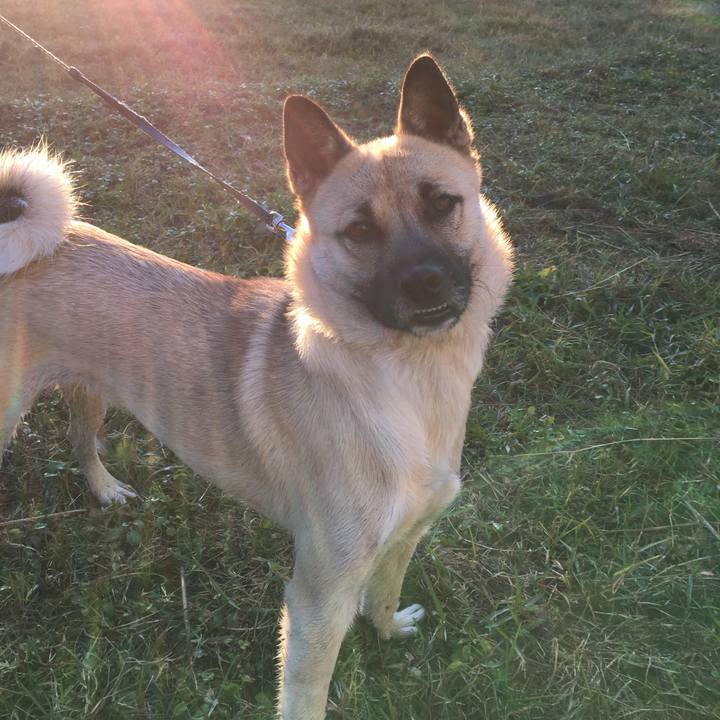 5b04e12a f4a8 427c 839a 727e32c6949b