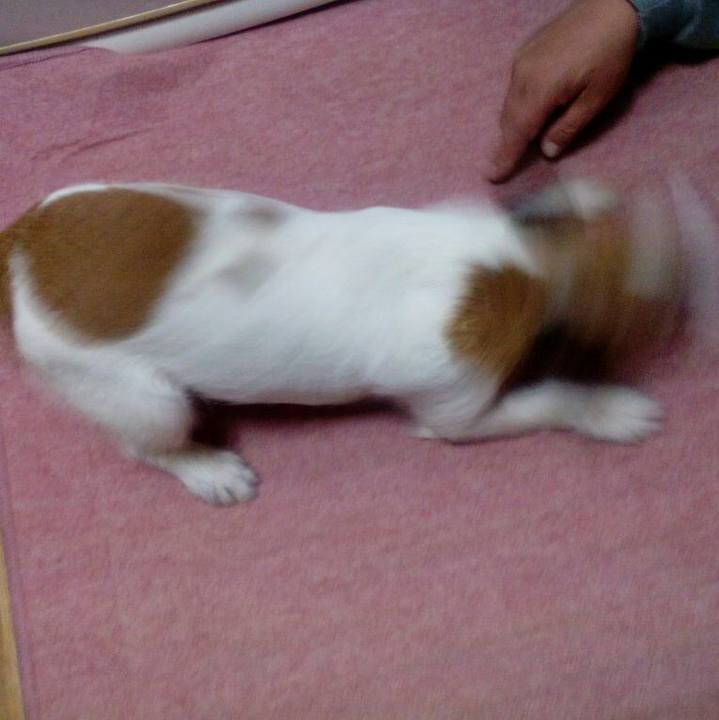 5b0583b0 a087 4bb1 a8b5 03ae9aa02010