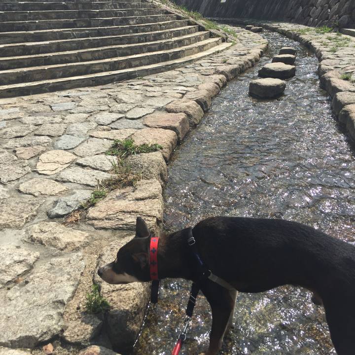 5b066b45 c699 4168 856f 3767c04a7851