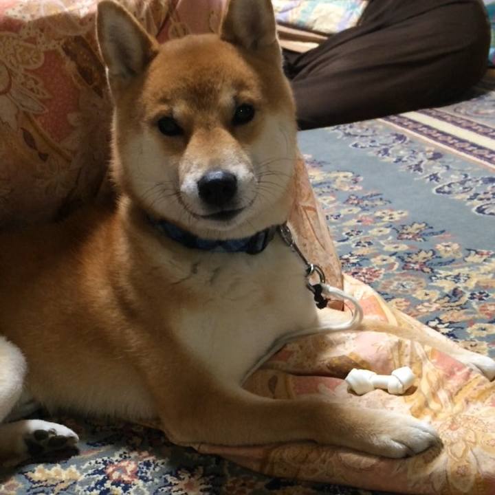 5b0676d9 a33f 422f 8f1a e9faed17a063