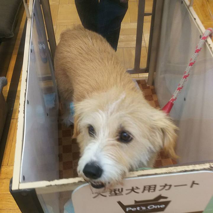 5b070a96 303a 47d3 838e 029bfe29ad85