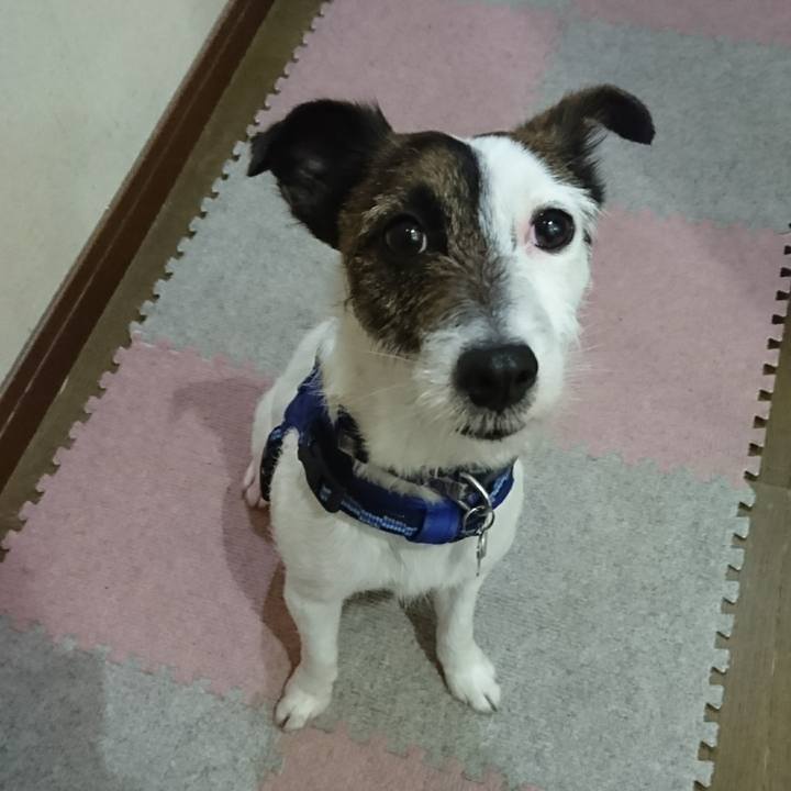 5b079f1a 11a7 4926 9a44 16a389758ec2