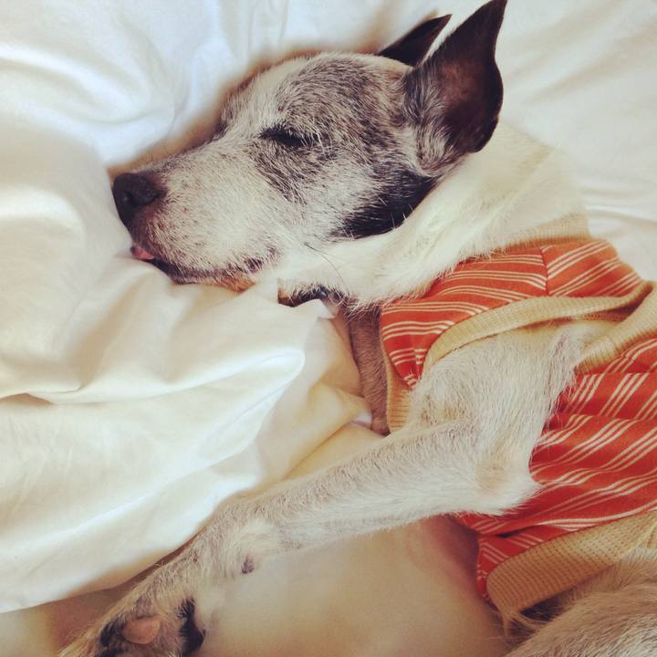 5b07ff2b b757 488f 94f6 5a5015f44ad6