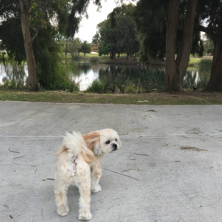 5b08586a 59fd 498e 86b9 fc441d2d96c3