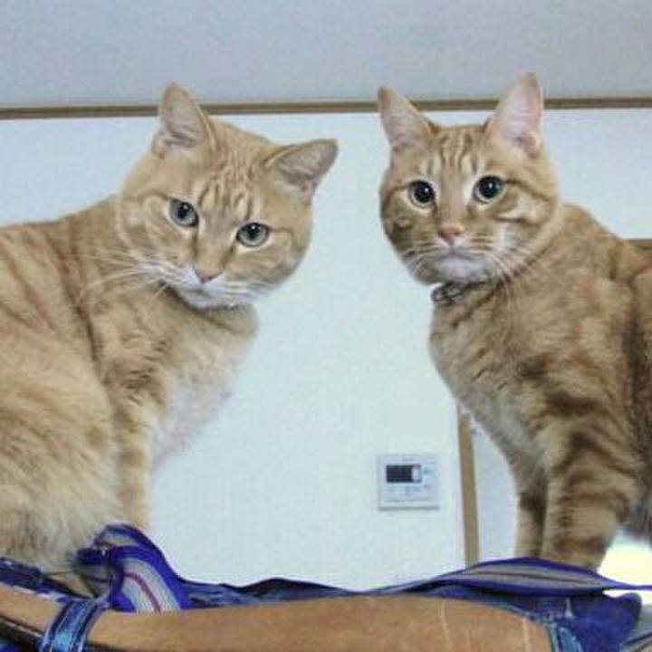 5b08a10d 2d7a 4936 9c33 5b0c7a817d48