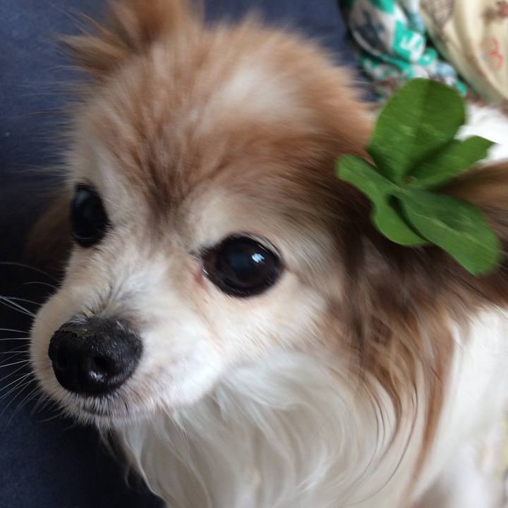 5b08c275 6bee 4d7d 8bfd d8ed4e9d912a