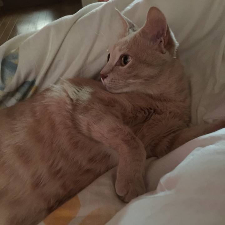 5b0998d4 63cb 4605 a572 30e660480f1f