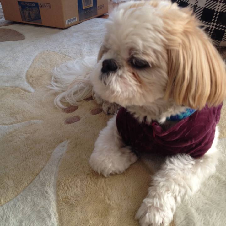 5b0af7dd 8a78 4493 9abe 003d5d114e19