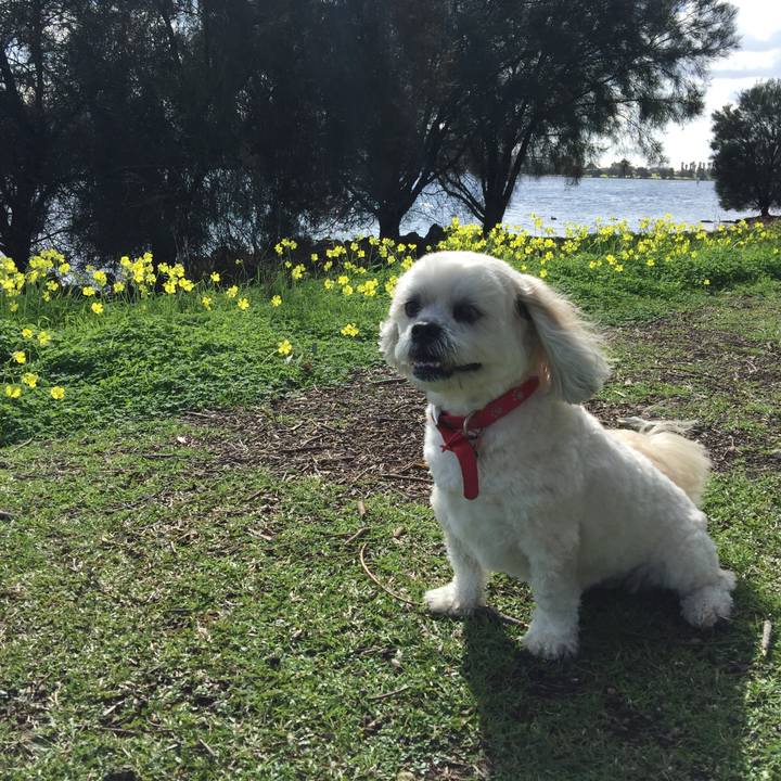 5b0b9692 5852 4b31 8abf e706fdd1ac8b