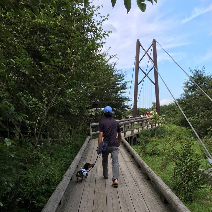 5b0c21d5 5998 47c5 93b4 19655a8319af