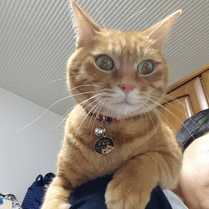 5b0c7eba 0ca5 4e46 b28b 6f0056d5f8c5