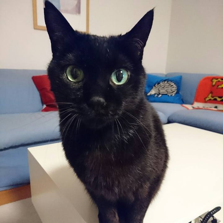 5b0d4db8 ce55 4e6e 98b1 3b938cce1f13