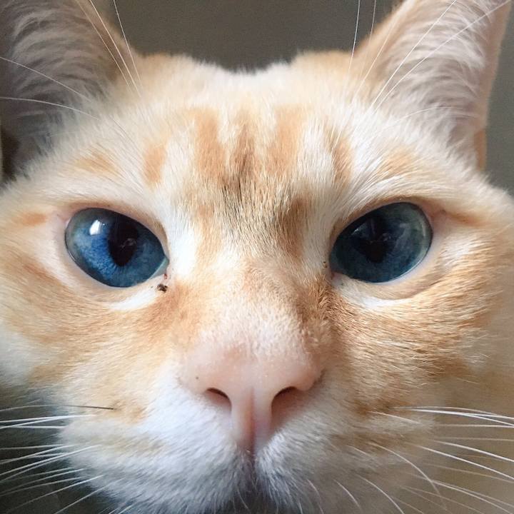 5b0e548c 993f 4e2b b42e 19d24b97b40d