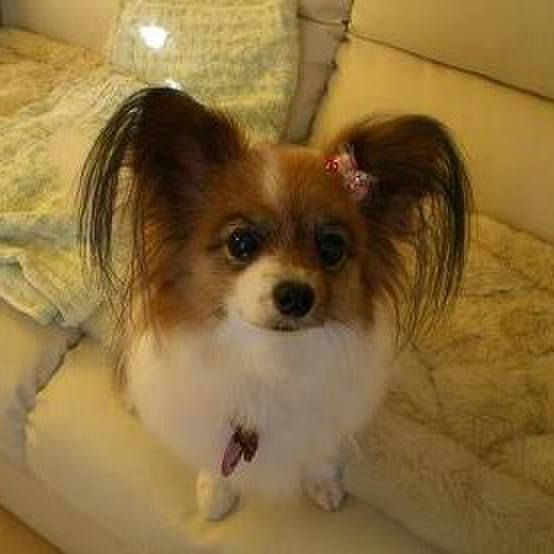 5b0eb1d9 92d1 42a4 bf55 b09c84bd5c95