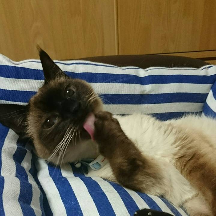 5b0eba38 cd2c 4db2 9a89 8e544ae5778b