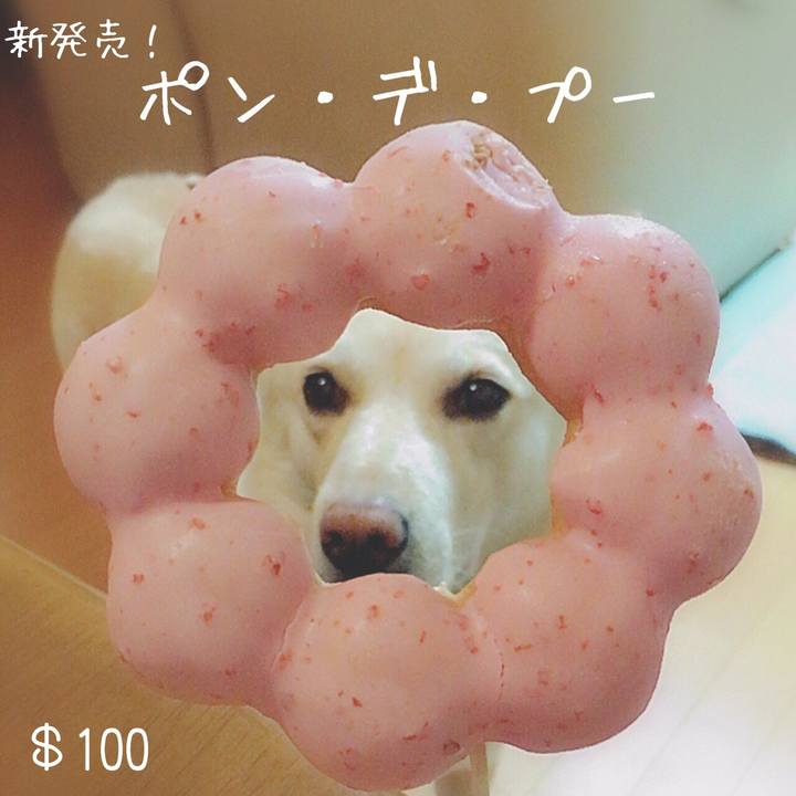 5b0ebd72 5c25 41e4 92de ef949fae9521