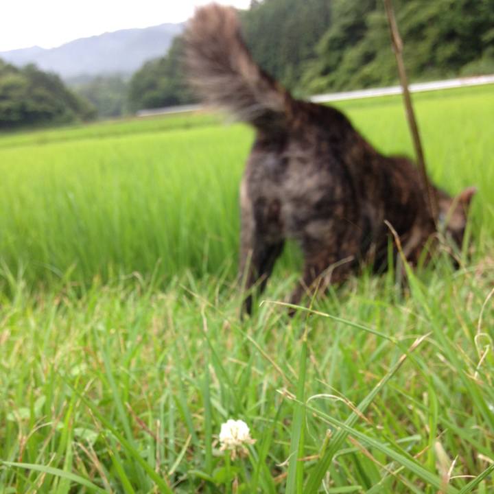 5b0eccd1 b4aa 44ae b55e 7cf1add0408d