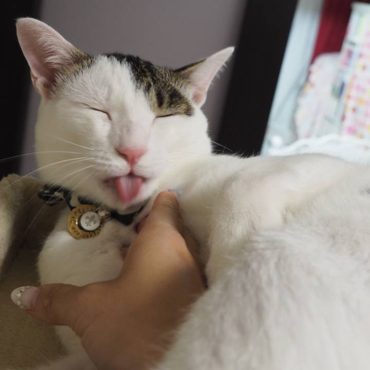 5b0f41e8 f982 4c15 828e 45fef6f768f7