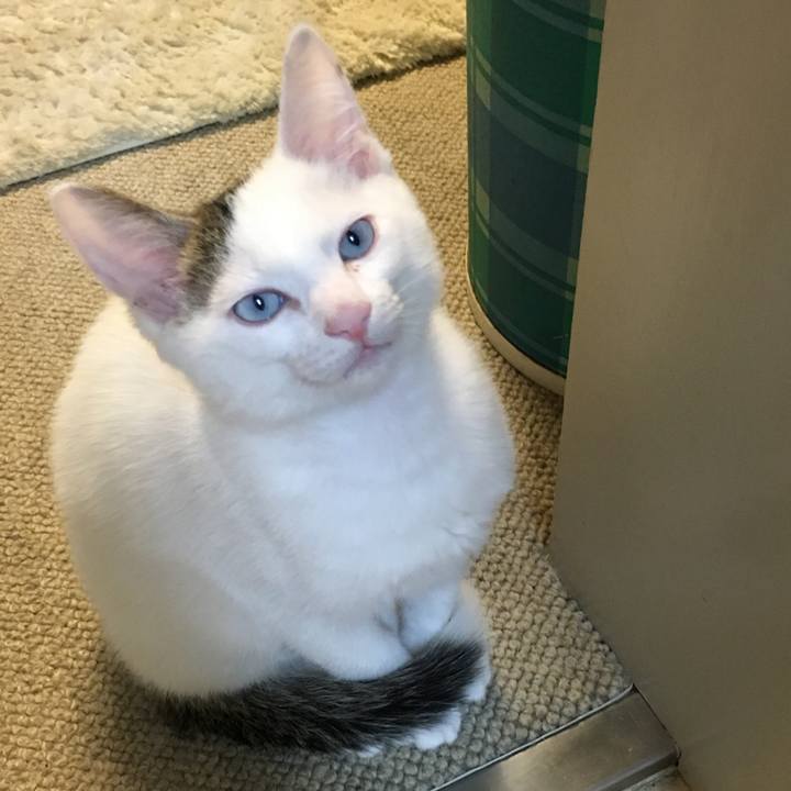 5b0f9bed c2b6 4594 835f 654612f3ad2e