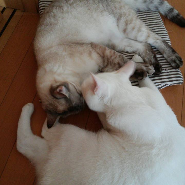 5b108849 0cdc 4af8 b850 ccc055f2797b