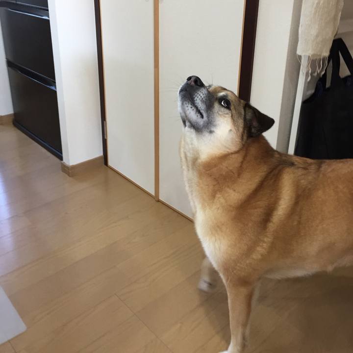 5b121187 85c5 48ef 97a3 7c43b71ce57a