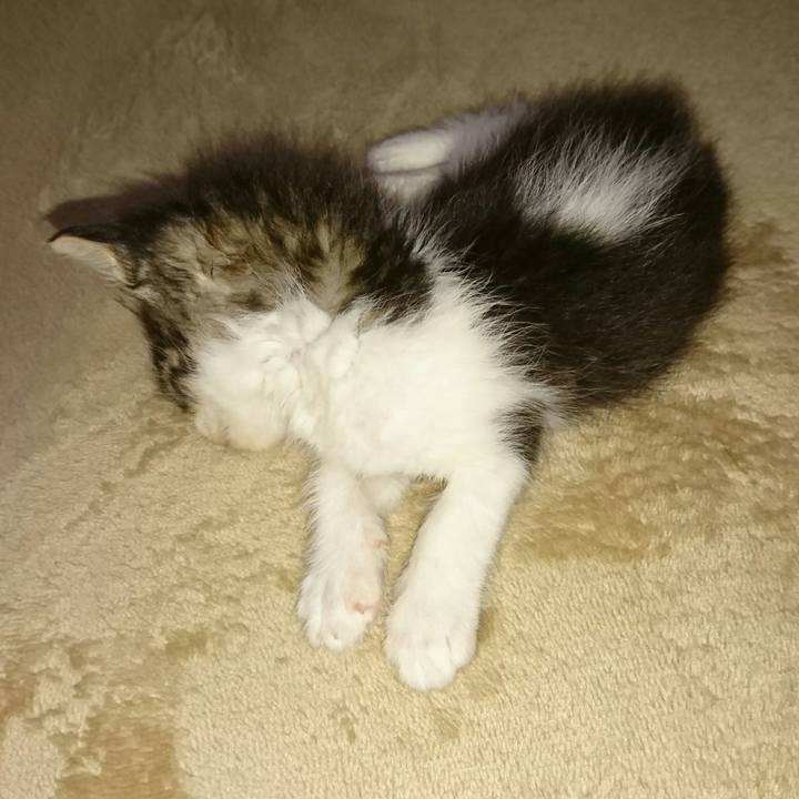 5b141bb2 02a9 4e59 8145 fed1068ed9fe