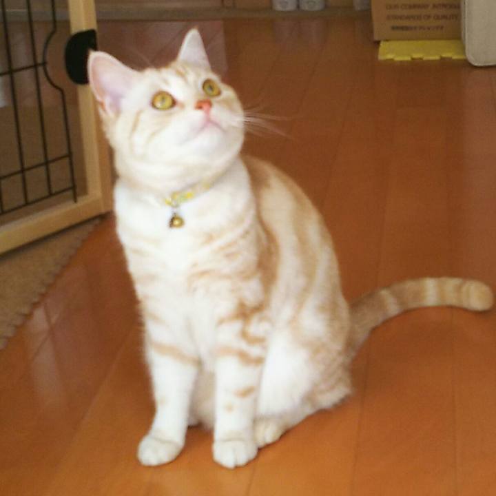 5b1462d0 55d6 4f41 adde 0fc3f4ccd0b4