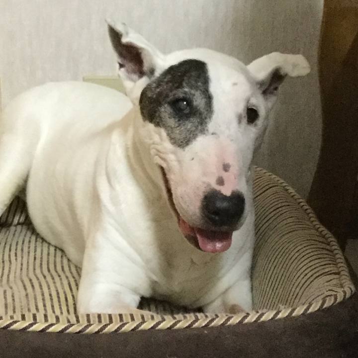 5b14ebc3 c1fd 4e0f 8837 d2b1f2aaf438