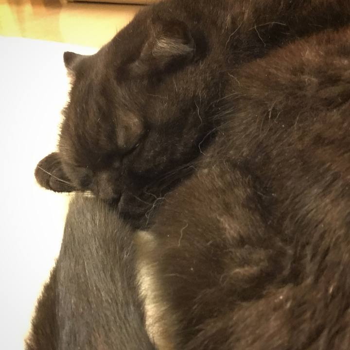 5b15126c 64d2 4522 97bf 94dacf38a1ba