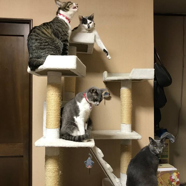 5b1658f8 cc5d 4a78 b38c e8173bc898f7