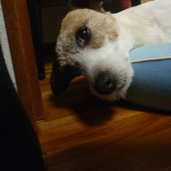 5b172a16 84d6 42a8 be76 8f7c1a3751d4