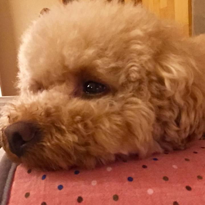 5b18371d 8a5a 4618 9802 f0e9eea479a6