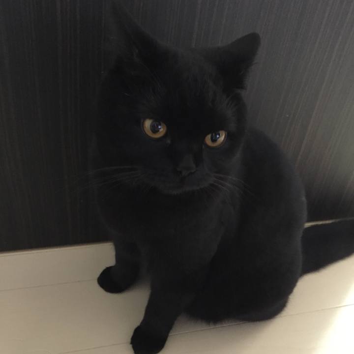 5b187fb4 cd97 40dd 9b8e 1ee3ae8a4a57