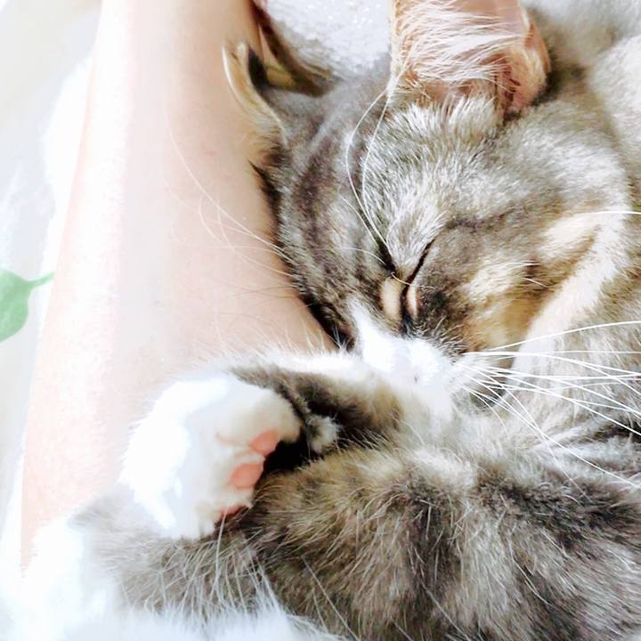 5b195815 1ba7 4024 a88e 641d4e3eb964