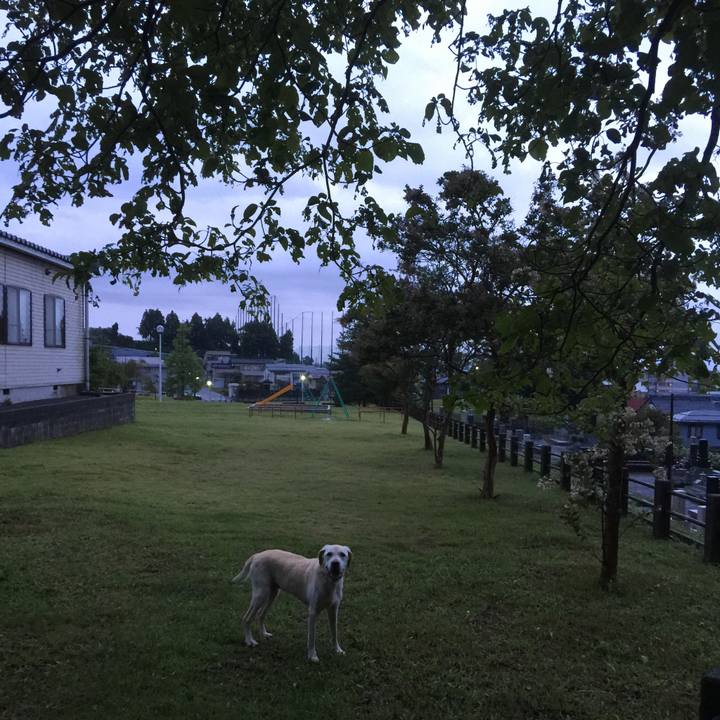 5b197c84 5a4f 4371 8b21 f7897dae077e