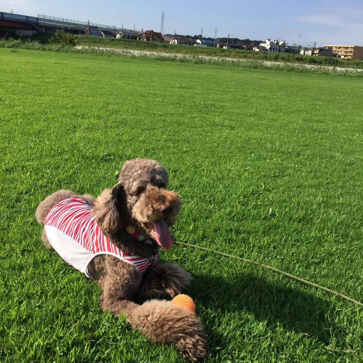 5b1a0135 f770 4cf6 b8c8 dba061f4d338