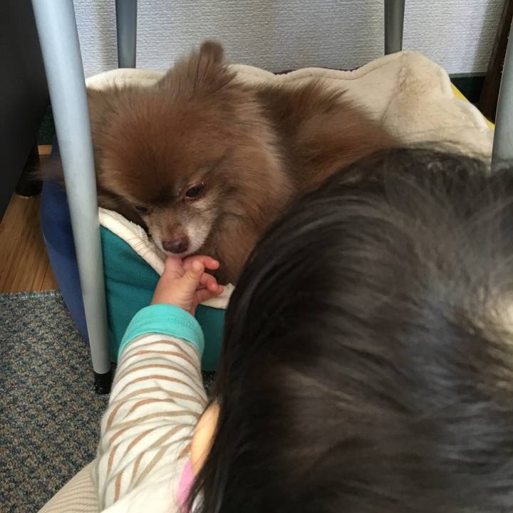 5b1a27c9 06f7 4d12 84a3 7e6e4bcbbd9b